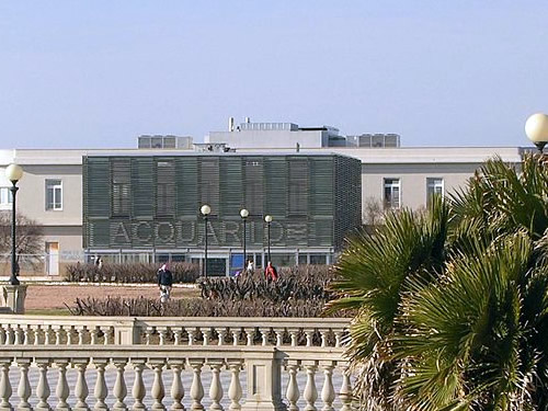 acquario di livorno